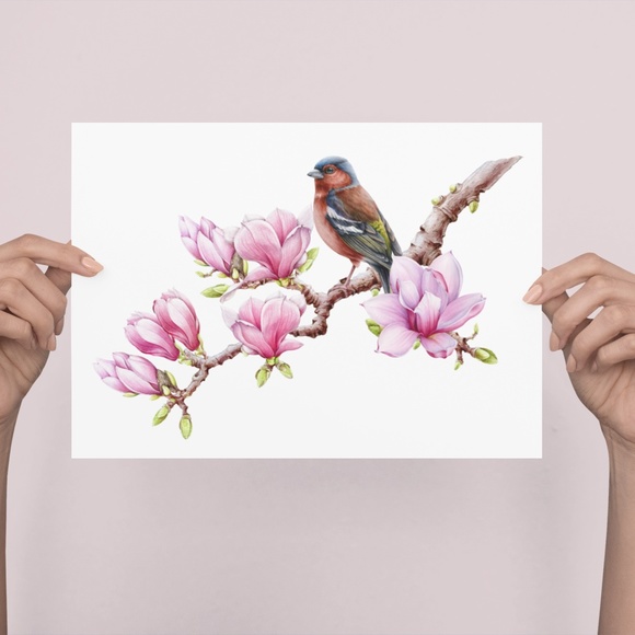 Chaffinch Bird Wall Art Watercolor Illustration Print Poster Card Unframed - Picture 3 of 4
